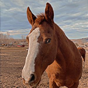 Meet your Posher, Addie